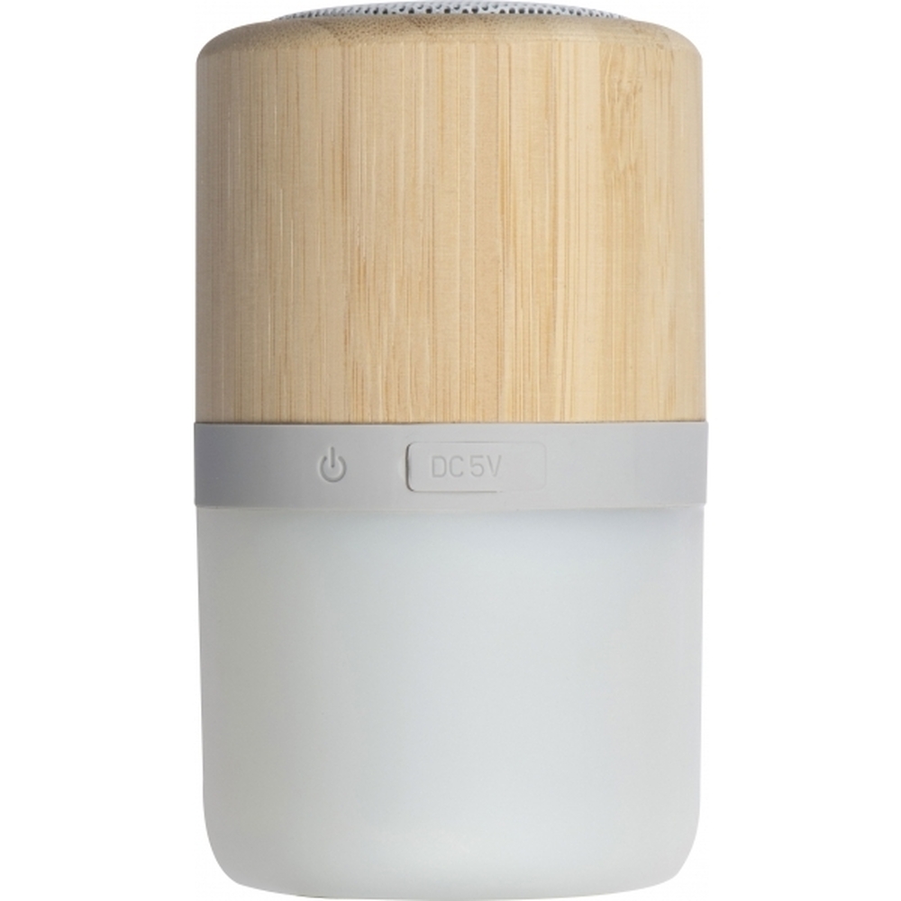 glosnik-haarlem-320813-4