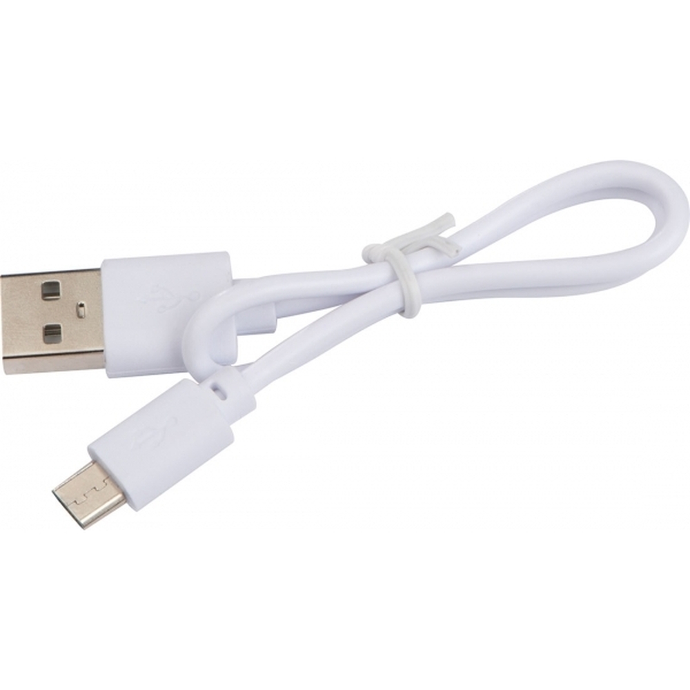 ladowarka-indukcyjna-crawley-090506-5