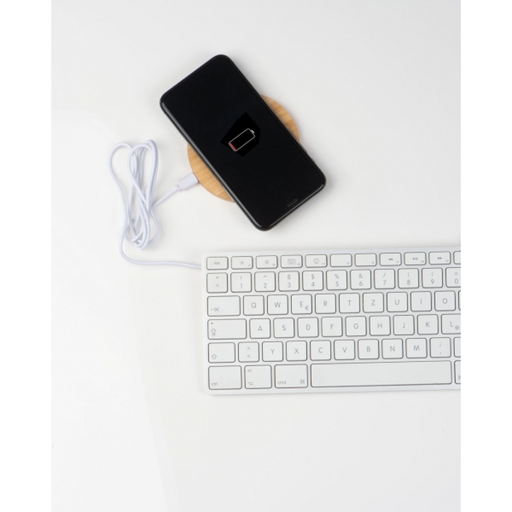 ladowarka-indukcyjna-mons-245713-4