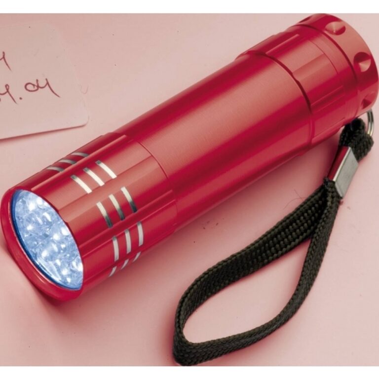 latarka-6-cob-montargis-190405-2