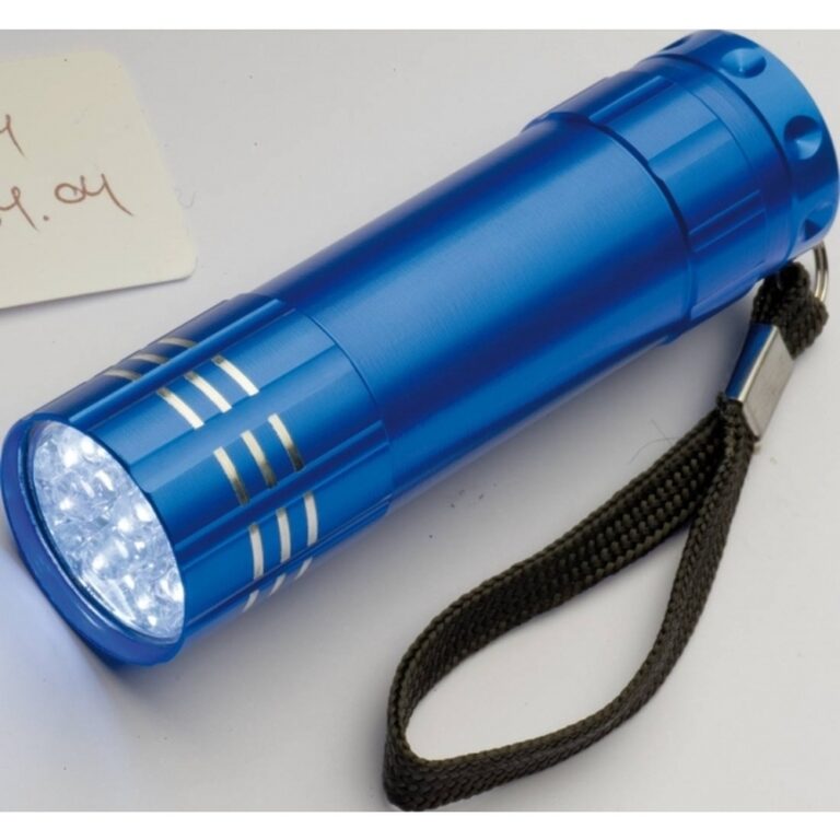 latarka-9-led-montargis-190404-2