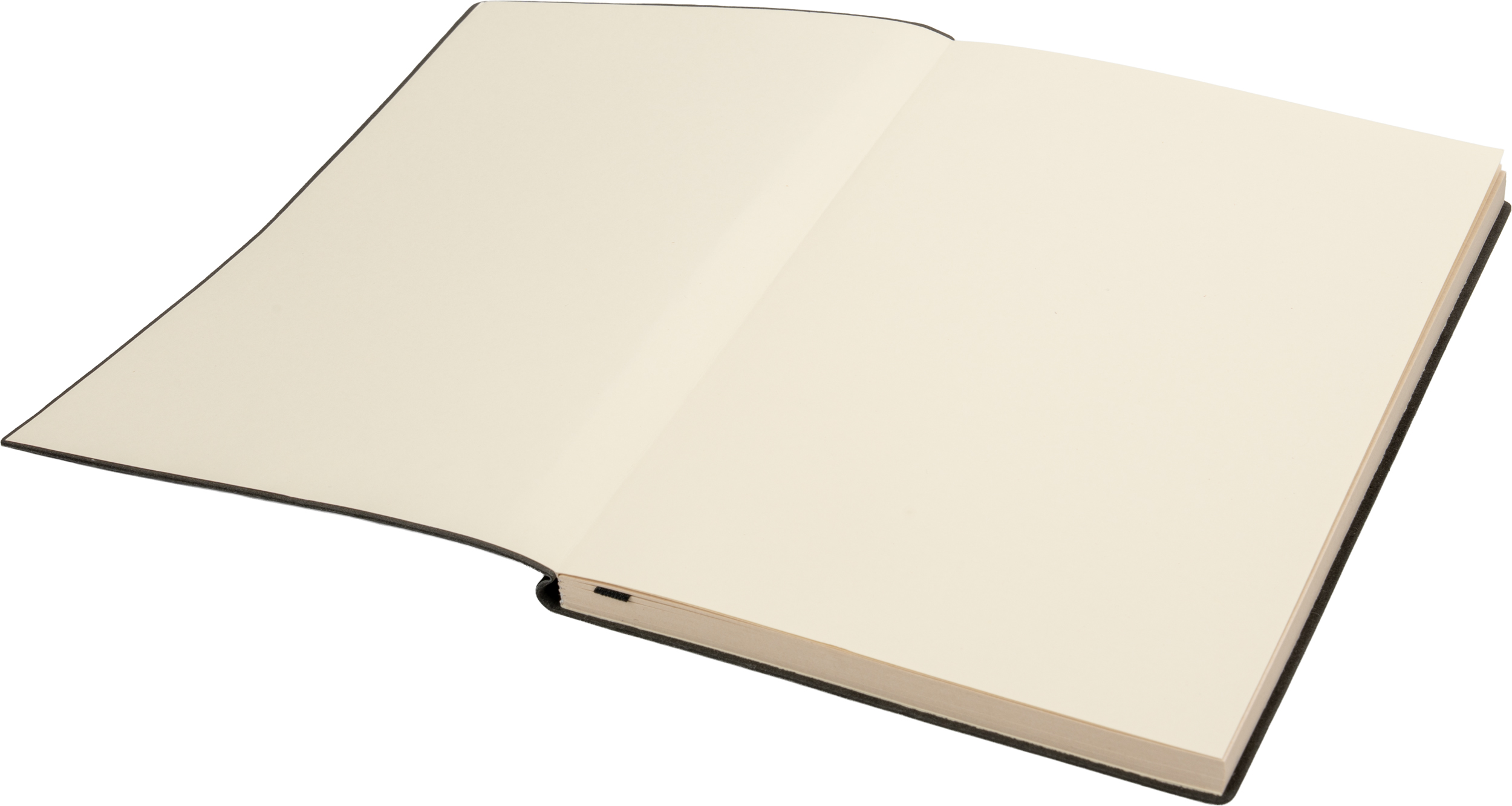 notes-a5-w-linie-daytona-beach-425403-3