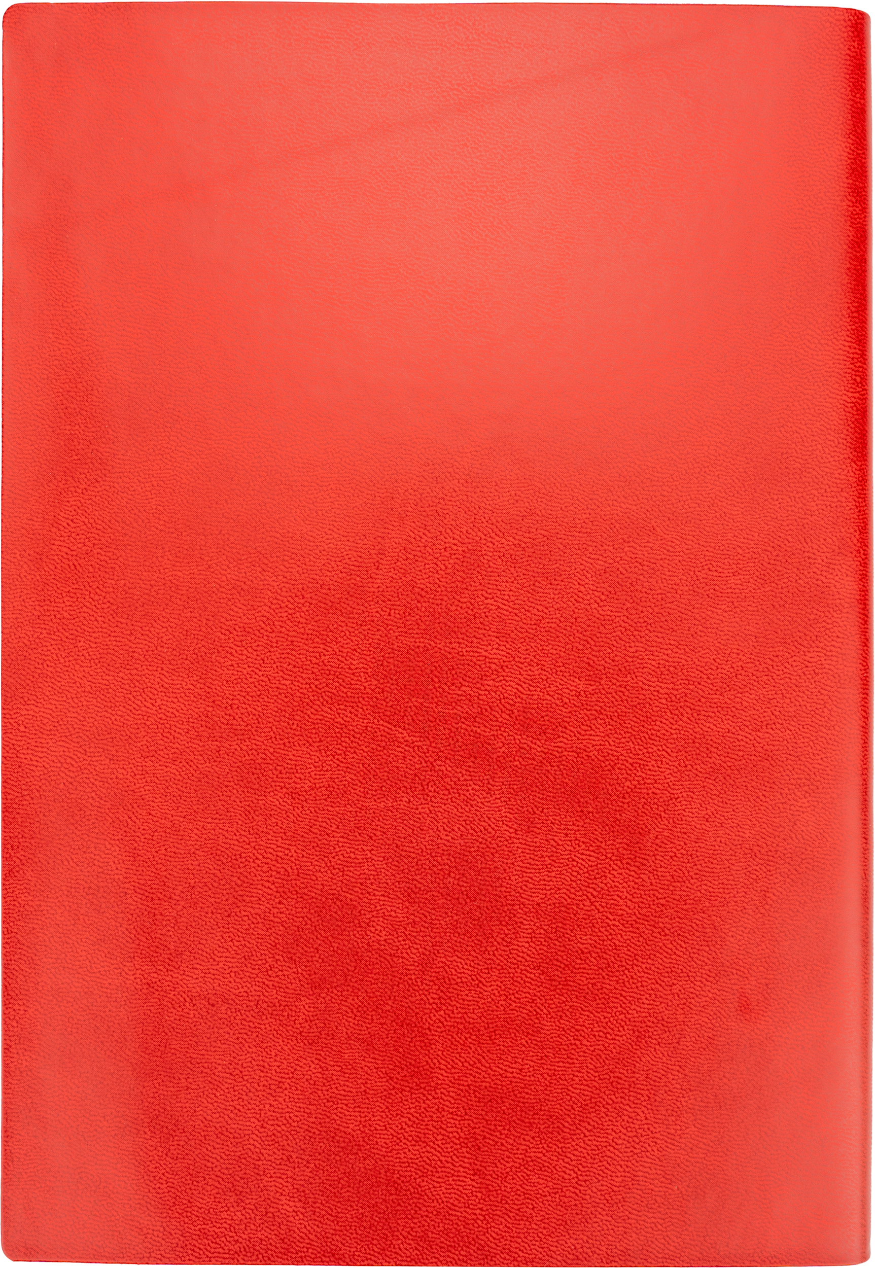 notes-a5-w-linie-daytona-beach-425405-5