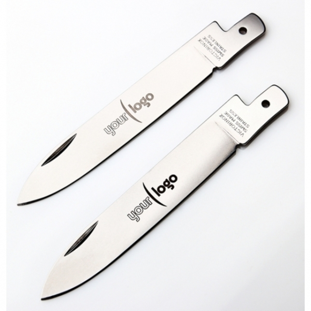 rally-czerwony-0616305-9