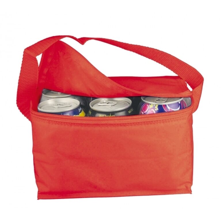 torba-termiczna-na-6-puszek-330-ml-aspen-700405-3-1