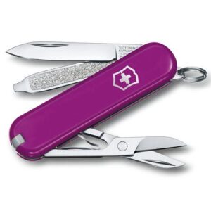 Scyzoryk Classic SD Victorinox