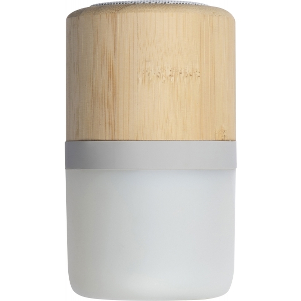 glosnik-haarlem-320813-5