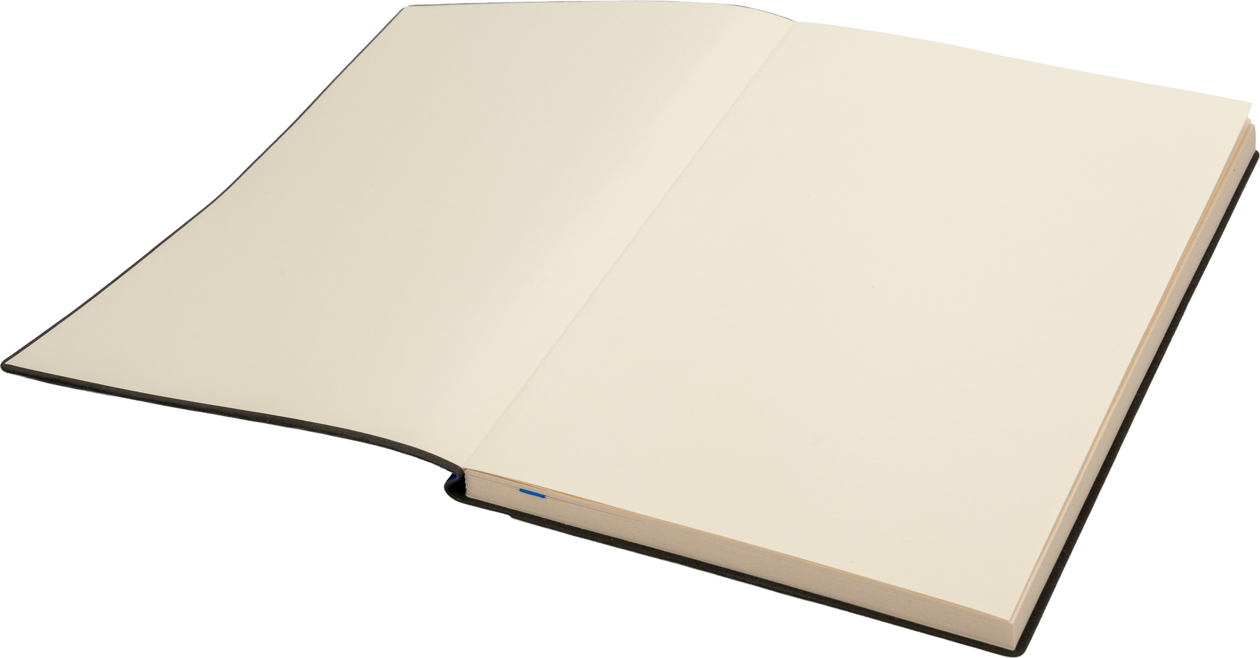 notes-a5-w-linie-daytona-beach-425404-3