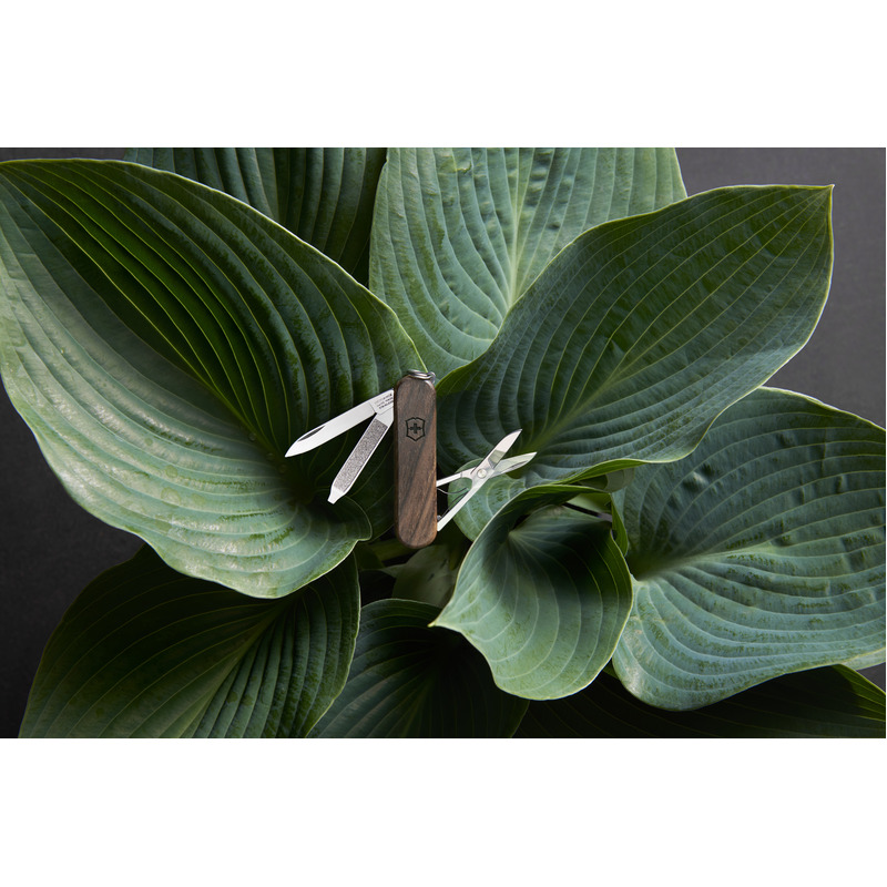 pocket-knife-classic-sd-victorinox-0622163-6