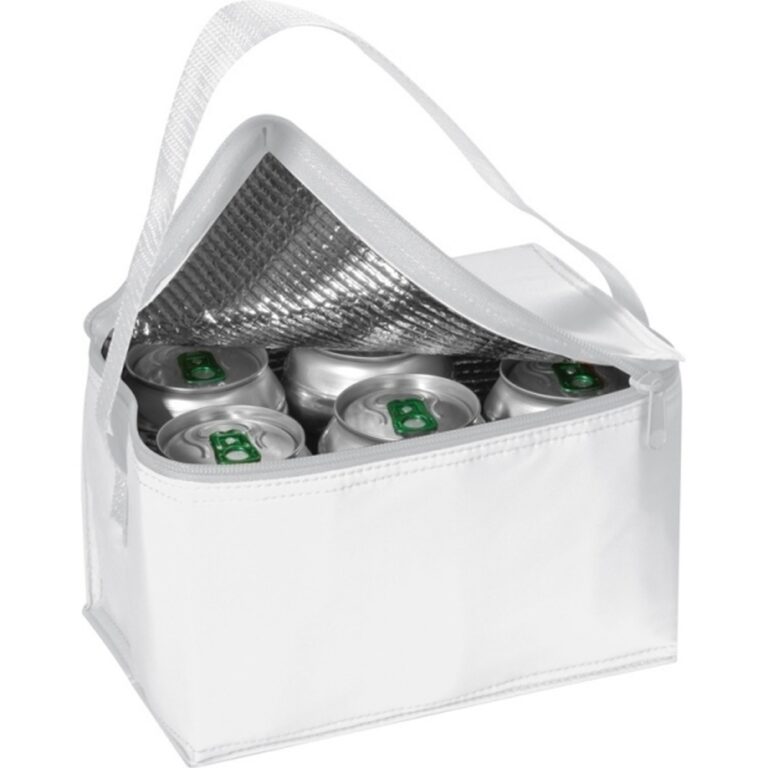 torba-termiczna-na-6-puszek-330-ml-aspen-700406-3-1